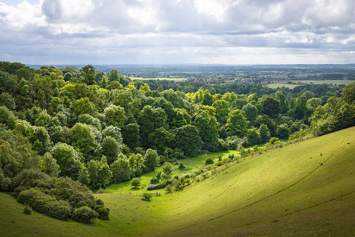 ProTrust Consulting – Our Location – Haddenham, The Chilterns ProTrust Consulting - Our Location - Haddenham, The Chilterns
